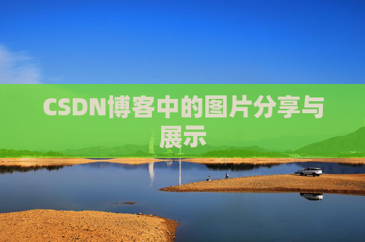 CSDN博客中的图片分享与展示